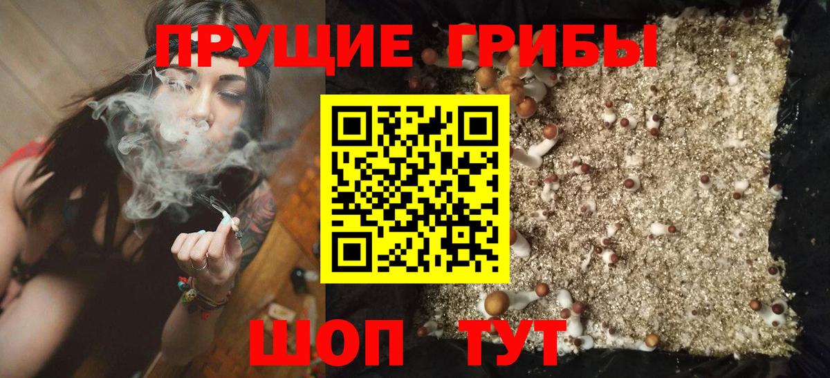 Тихорецк  Галлюциногенные грибы Psilocybe  Галлюциногенные грибы Psilocybine cubensis  где найти   Вход с VPN 